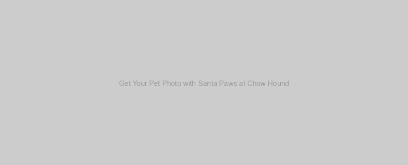 Get Your Pet Photo with Santa Paws at Chow Hound
